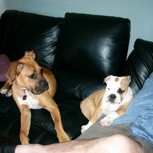No one said ANYTHING about having to share the couch!