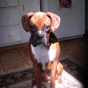 Austin 1 year old today!!!