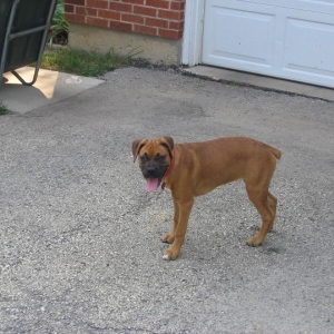 Madi4months
