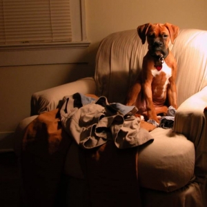Making himself right at home.