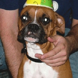 Lexi @ Camrons Birthday