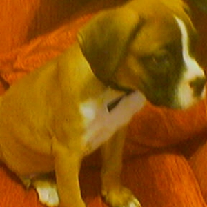 keeroff-2months-old