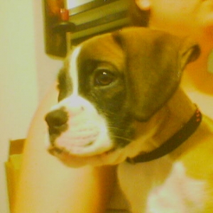 keeroff-2months-old