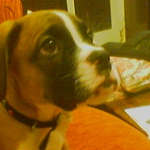 keeroff-2months-old