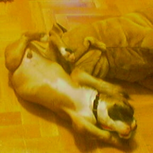 playing