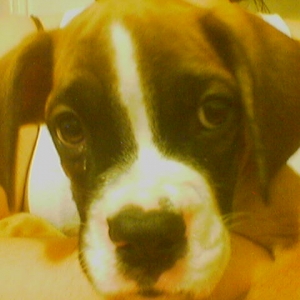 cute face