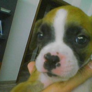 keeroff-35days-old