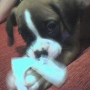 playing