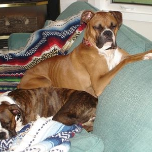 Tyson & Grace