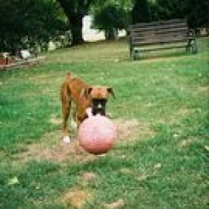 tn_tug_and_ball