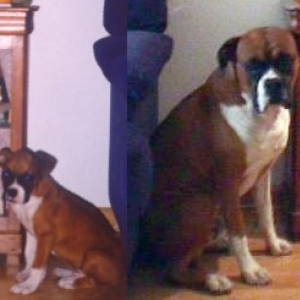 Asac How they can change!!