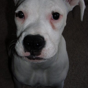Can I pose some more for you mom?