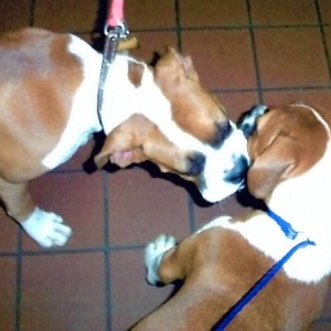 Greeting my sister with kisses