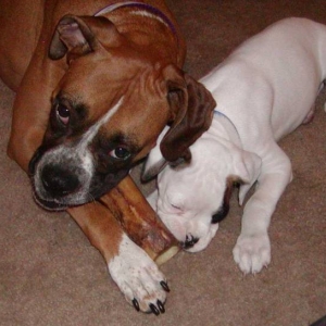 We can share.