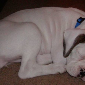 Shhhh....Payton is sleeeeeping.