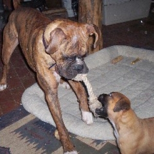 Tug of War