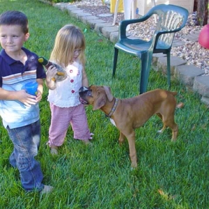 Our pups