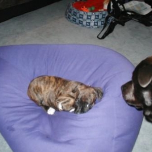Not playtime again
