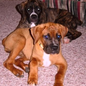 Max and Sophie