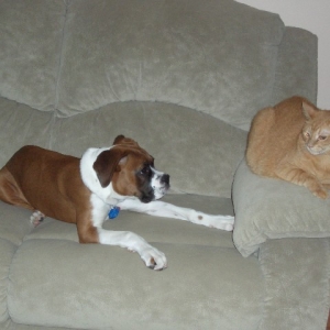 Daisy and Buddy