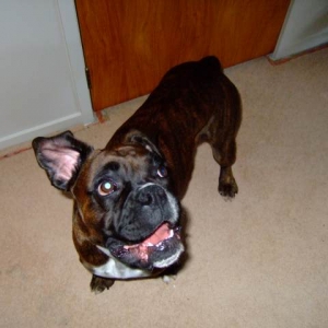 I love my toy!