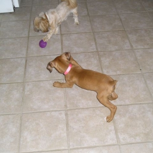 playing with nyla