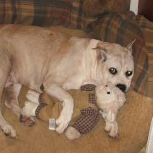 ernie1