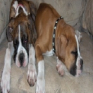 The babies are finally sleeping