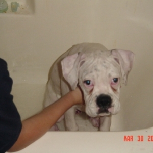 Zeus taking a bath