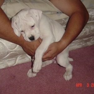 Baby Xena