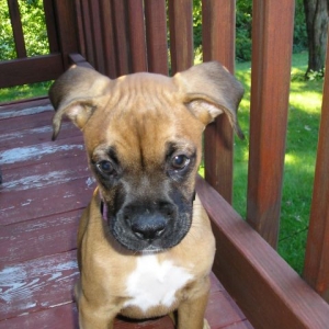 sitting on the deck
