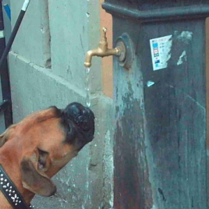 IM THIRSTY DAD!