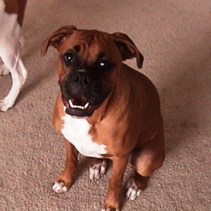 Chelsea looking cheeky