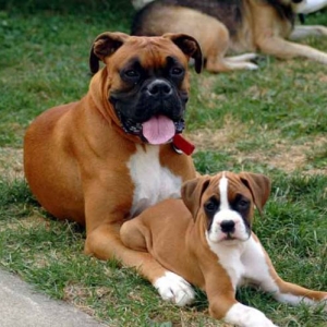 My Two Babies