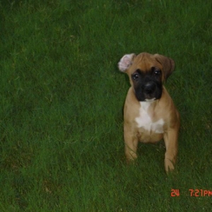 Hurry up and take the picture!