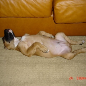 Catching some ZZZZZZ's