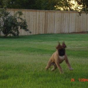 I'm Fast....almost like a blur in your camera