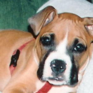 CHAMP AT 12 WEEKS