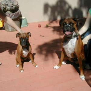Cooper with his big brother
