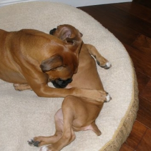 Snuggling with baby brother
