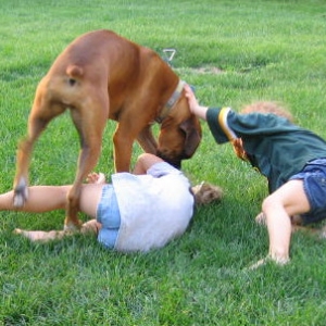 Wrestling some more!