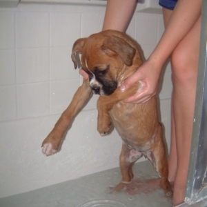 Bathtime for Keeya