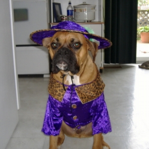 My first Halloween Costume
