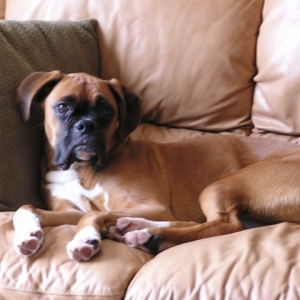 Relaxing on the couch