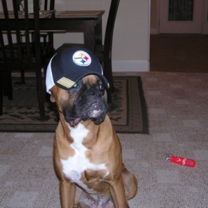 Huge Steeler fan!