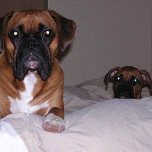 Laying on our bed
