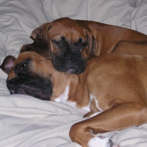 Sleeping on our bed