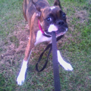 tug of war?