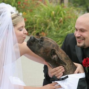 Wedding Day Kiss