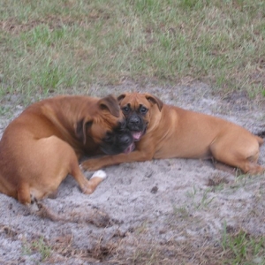 Taking a break from digging